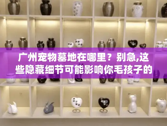 广州宠物墓地在哪里？别急,这些隐藏细节可能影响你毛孩子的安息安宁