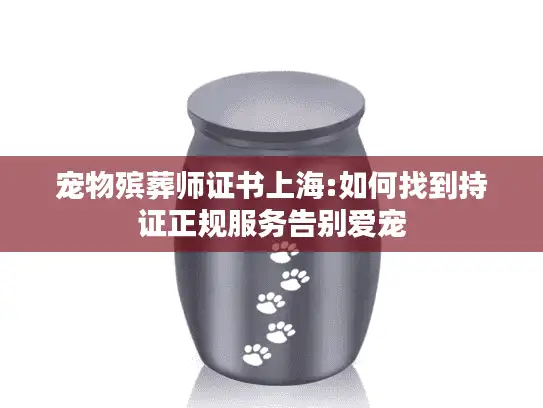 宠物殡葬师证书上海:如何找到持证正规服务告别爱宠