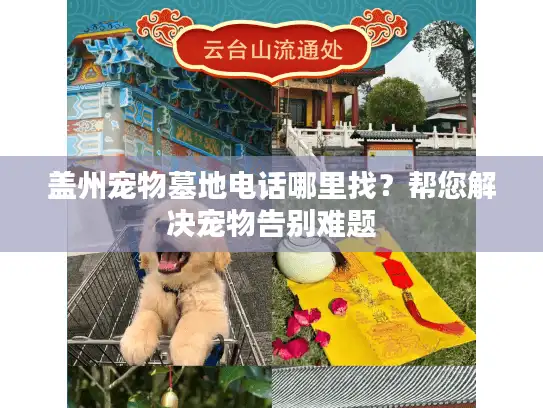 盖州宠物墓地电话哪里找？帮您解决宠物告别难题
