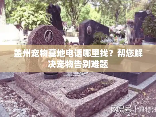盖州宠物墓地电话哪里找？帮您解决宠物告别难题