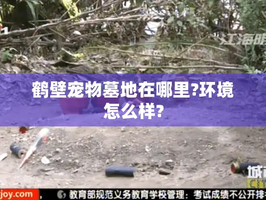 鹤壁宠物墓地在哪里?环境怎么样?
