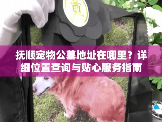 抚顺宠物公墓地址在哪里？详细位置查询与贴心服务指南