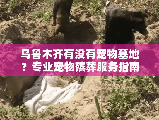 乌鲁木齐有没有宠物墓地？专业宠物殡葬服务指南