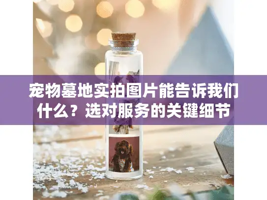 宠物墓地实拍图片能告诉我们什么？选对服务的关键细节