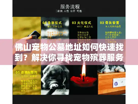 佛山宠物公墓地址如何快速找到？解决你寻找宠物殡葬服务的困惑