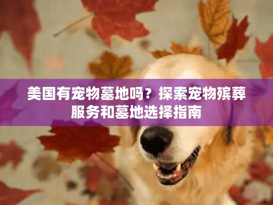 美国有宠物墓地吗？探索宠物殡葬服务和墓地选择指南