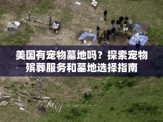 美国有宠物墓地吗？探索宠物殡葬服务和墓地选择指南