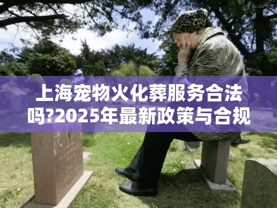 上海宠物火化葬服务合法吗?2025年最新政策与合规机构指南