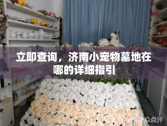 立即查询，济南小宠物墓地在哪的详细指引