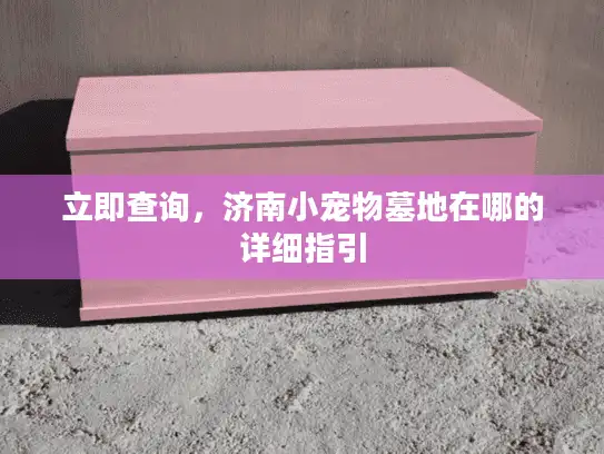 立即查询，济南小宠物墓地在哪的详细指引