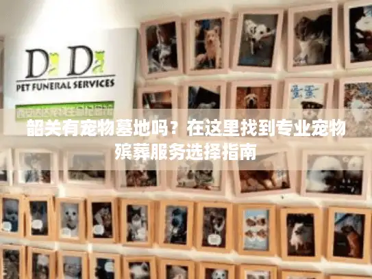 韶关有宠物墓地吗？在这里找到专业宠物殡葬服务选择指南