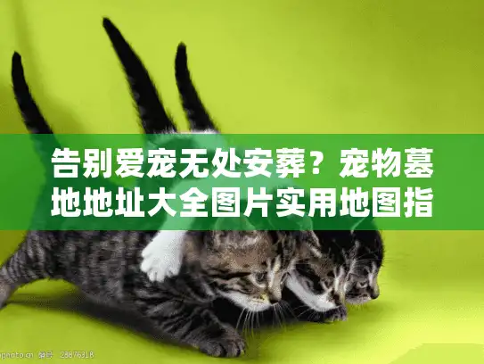 告别爱宠无处安葬？宠物墓地地址大全图片实用地图指南