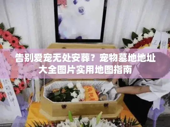 告别爱宠无处安葬？宠物墓地地址大全图片实用地图指南