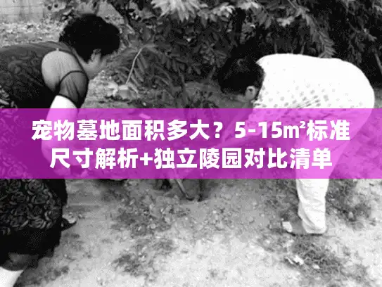 宠物墓地面积多大？5-15㎡标准尺寸解析+独立陵园对比清单