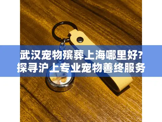 武汉宠物殡葬上海哪里好?探寻沪上专业宠物善终服务