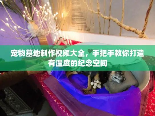 宠物墓地制作视频大全，手把手教你打造有温度的纪念空间