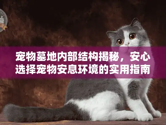 宠物墓地内部结构揭秘，安心选择宠物安息环境的实用指南