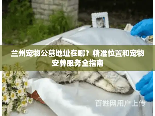 兰州宠物公墓地址在哪？精准位置和宠物安葬服务全指南