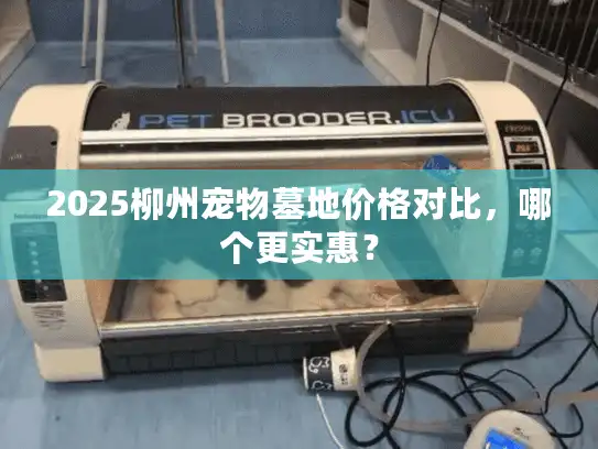 2025柳州宠物墓地价格对比，哪个更实惠？
