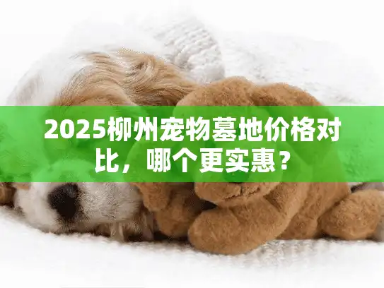 2025柳州宠物墓地价格对比，哪个更实惠？