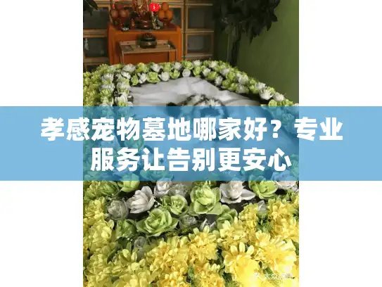 孝感宠物墓地哪家好？专业服务让告别更安心