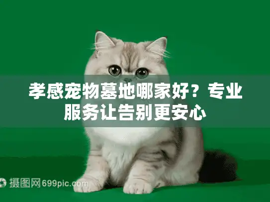 孝感宠物墓地哪家好？专业服务让告别更安心