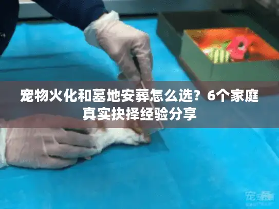 宠物火化和墓地安葬怎么选？6个家庭真实抉择经验分享
