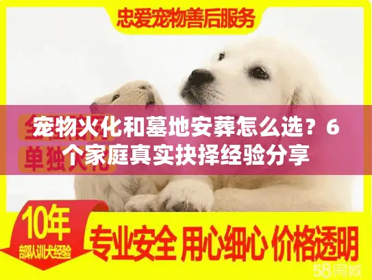 宠物火化和墓地安葬怎么选？6个家庭真实抉择经验分享