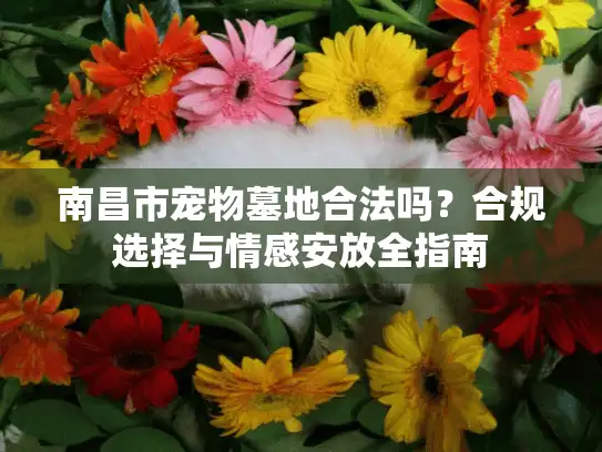 南昌市宠物墓地合法吗？合规选择与情感安放全指南