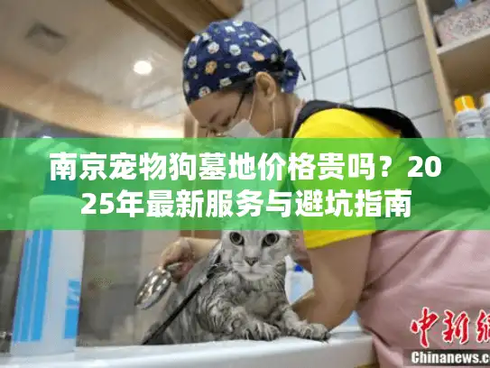 南京宠物狗墓地价格贵吗？2025年最新服务与避坑指南