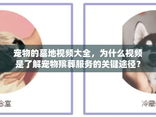 宠物的墓地视频大全，为什么视频是了解宠物殡葬服务的关键途径？