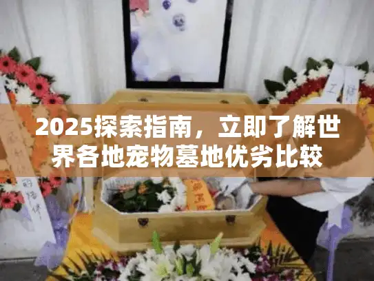 2025探索指南，立即了解世界各地宠物墓地优劣比较