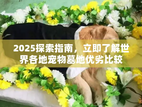 2025探索指南，立即了解世界各地宠物墓地优劣比较