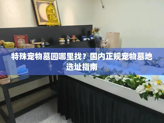 特殊宠物墓园哪里找？国内正规宠物墓地选址指南