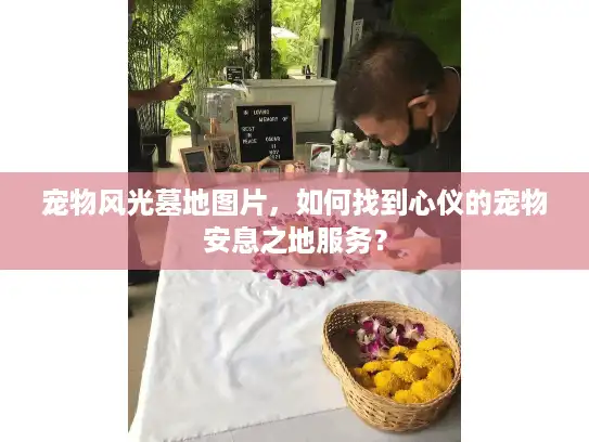 宠物风光墓地图片，如何找到心仪的宠物安息之地服务？