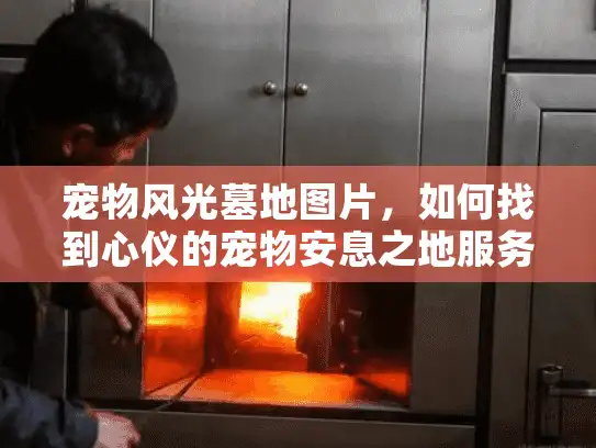 宠物风光墓地图片，如何找到心仪的宠物安息之地服务？