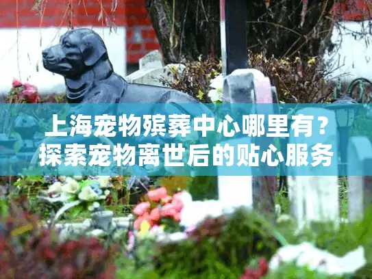 上海宠物殡葬中心哪里有？探索宠物离世后的贴心服务