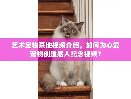 艺术宠物墓地视频介绍，如何为心爱宠物创建感人纪念视频？