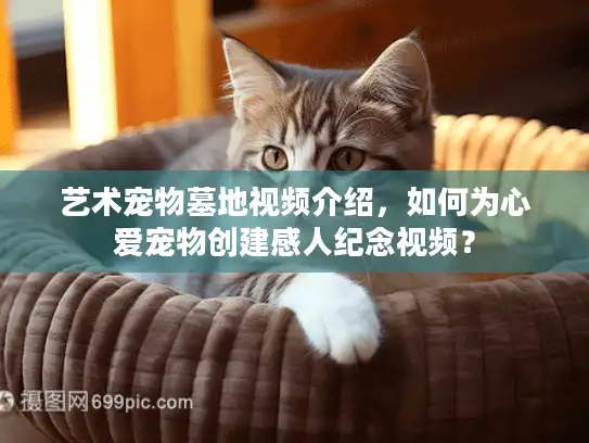 艺术宠物墓地视频介绍，如何为心爱宠物创建感人纪念视频？