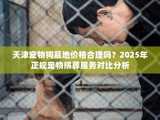 天津宠物狗墓地价格合理吗？2025年正规宠物殡葬服务对比分析