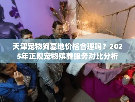 天津宠物狗墓地价格合理吗？2025年正规宠物殡葬服务对比分析