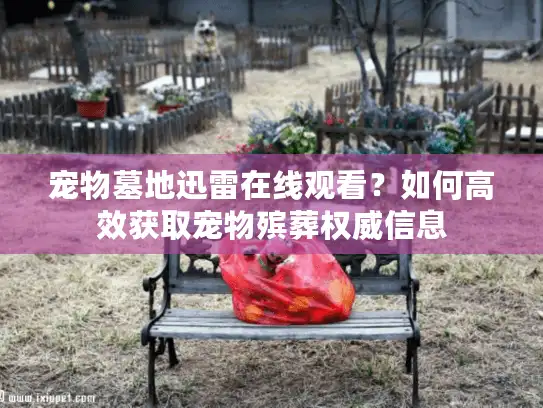 宠物墓地迅雷在线观看？如何高效获取宠物殡葬权威信息