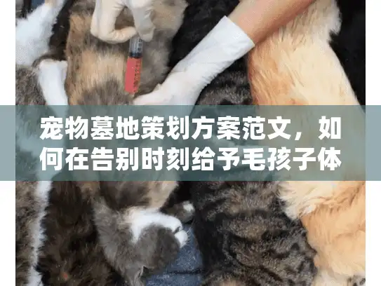 宠物墓地策划方案范文，如何在告别时刻给予毛孩子体面归宿