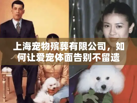 上海宠物殡葬有限公司，如何让爱宠体面告别不留遗憾?
