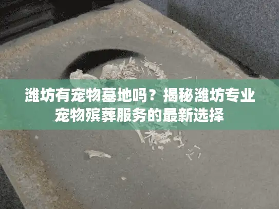 潍坊有宠物墓地吗？揭秘潍坊专业宠物殡葬服务的最新选择