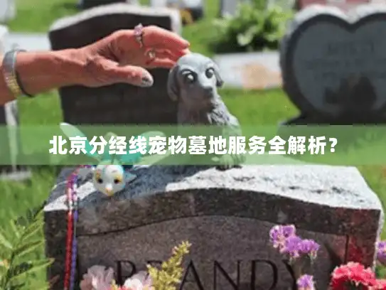 北京分经线宠物墓地服务全解析？