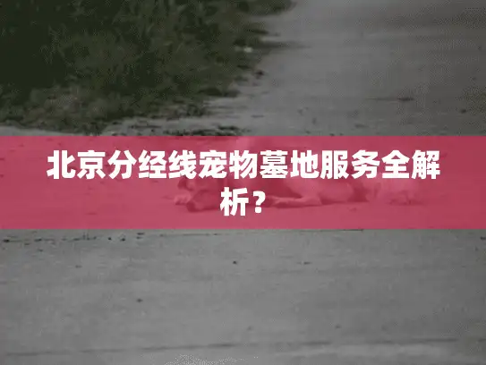 北京分经线宠物墓地服务全解析？