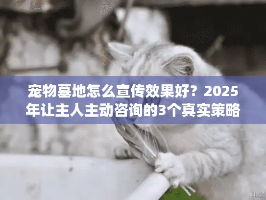 宠物墓地怎么宣传效果好？2025年让主人主动咨询的3个真实策略