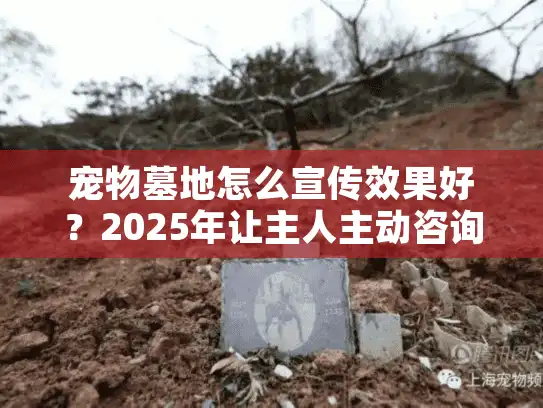 宠物墓地怎么宣传效果好？2025年让主人主动咨询的3个真实策略
