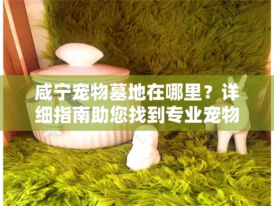咸宁宠物墓地在哪里？详细指南助您找到专业宠物殡葬服务